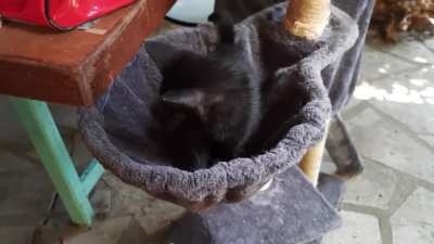 He woke up to yell