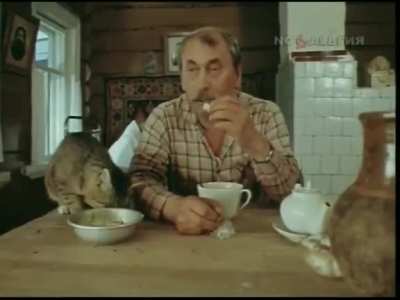 Обычные разго<wbr>воры с котом на кухне