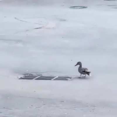 Oh no!