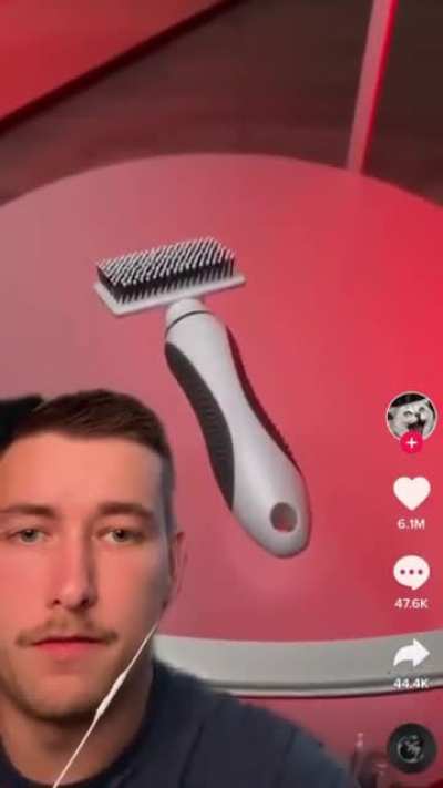 Wtf is that cat