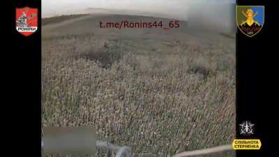 Ukrainian 65th Mechanized Brigade's 44th Battalion 