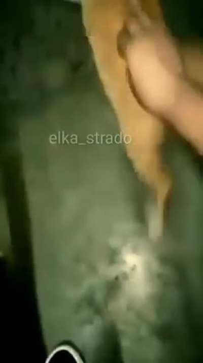 Não tenho o link