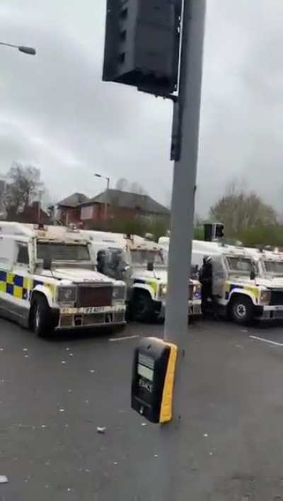 Riot police using dogs on Springfield Road