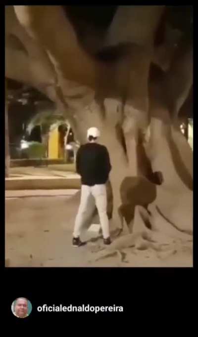 hi