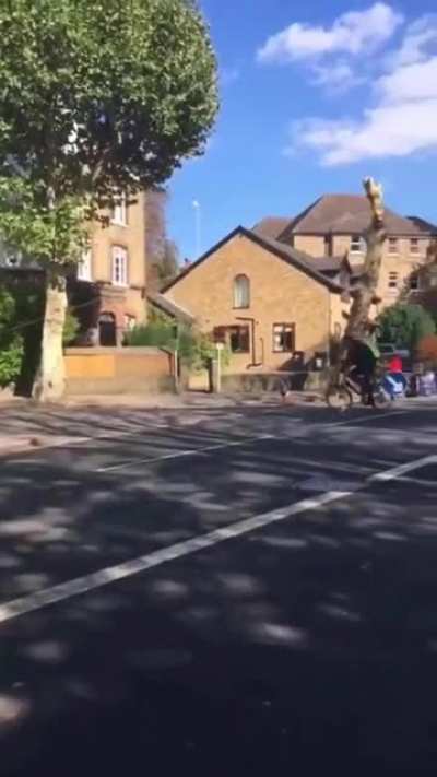 Tree falling that nearly hits a cyclist riding his bike.