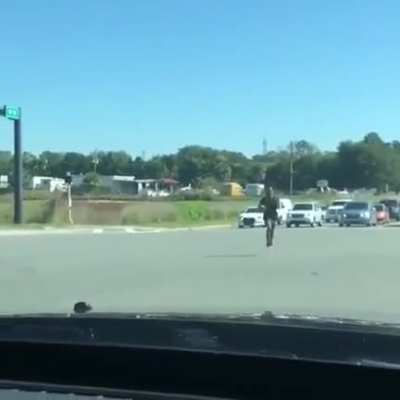 SiCK fuCK LeAvES tORtOiSe oN InTeRsEcTiOn