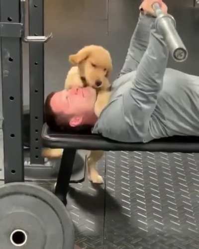 Doggo, trainer of champions!