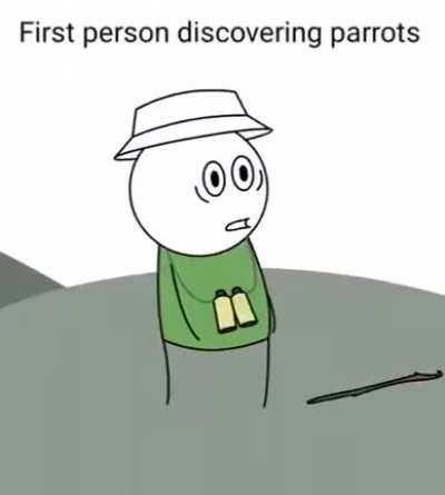 Parrot discovery