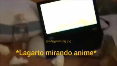 PERRO MALO😤😤😤