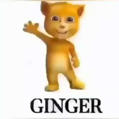 Ginger