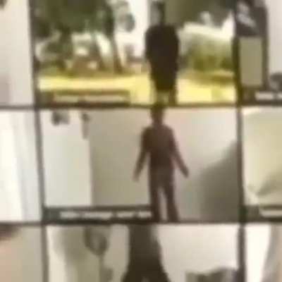 Average zoom class.