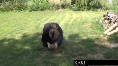 Ninja Training Unleashed!