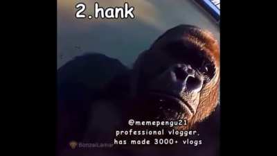 🥵🥵🥵