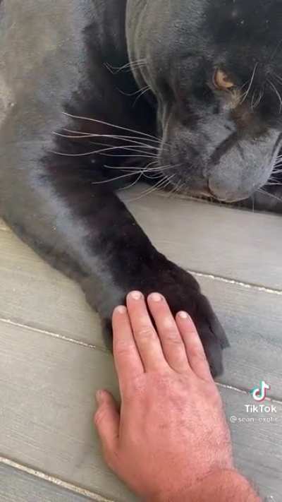 🥰 those murder mittens