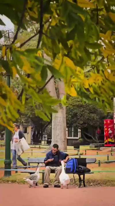 La reina del Rio de la Plata: ciudad de Buenos Aires en otoño