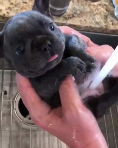 Doing the dishes