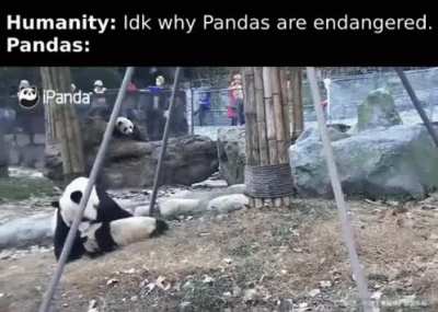 idk why either...