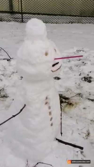 Snješko