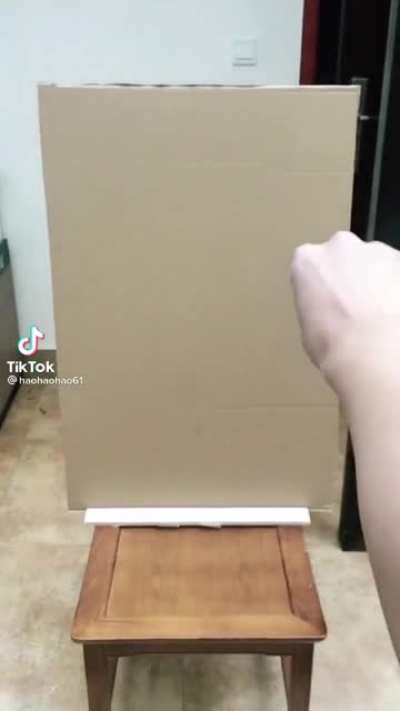 Ninjas são reais