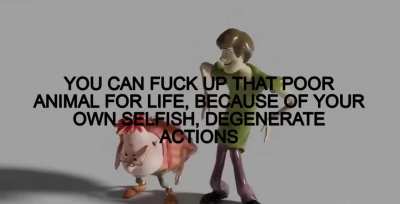 rule :)