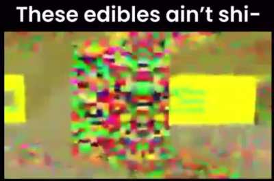 Sponge Bob
