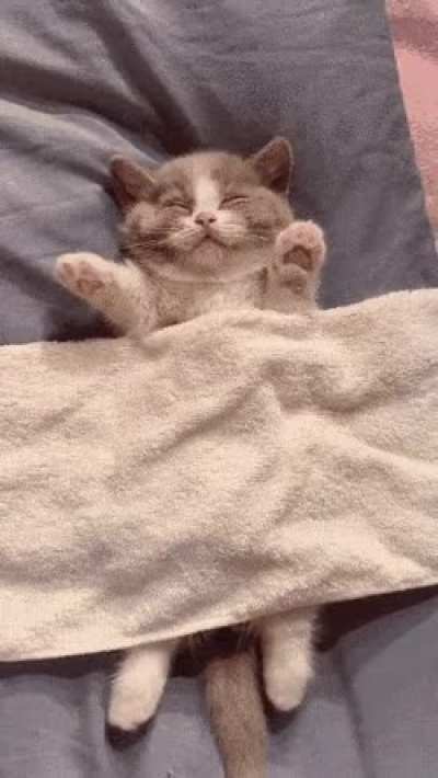 Dreaming of that perfect drum solo