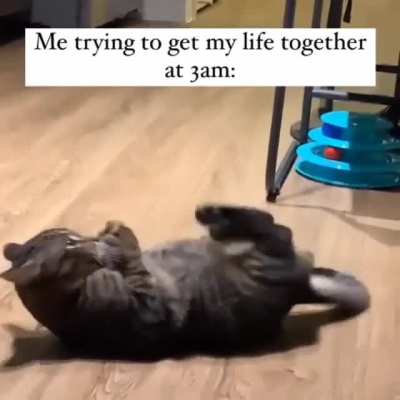 me_irl