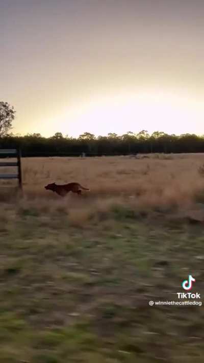 “I am speed”