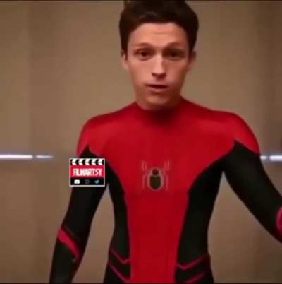 The only Spider-Man