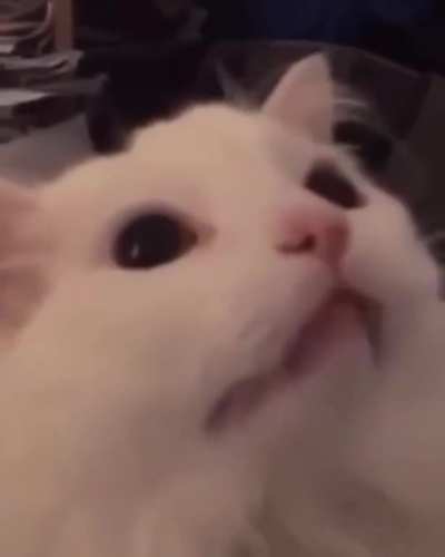 Nya