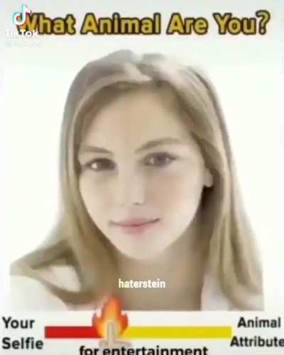Hmmmm