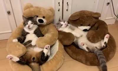 Best cuddle couch ever