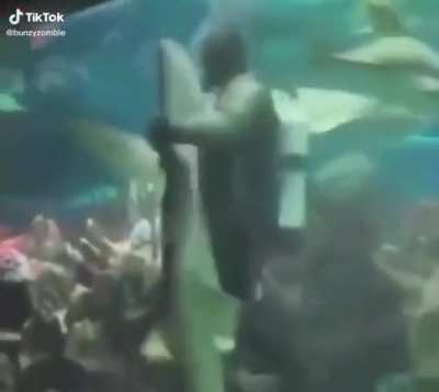 Tiriri tiriri