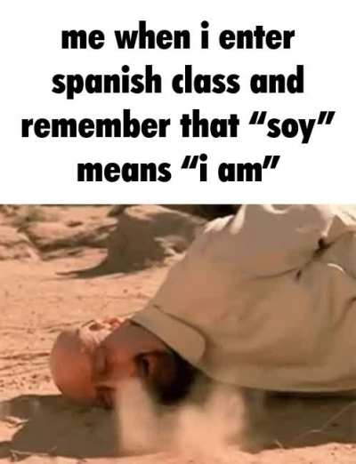 I AM NOT SOY!!!