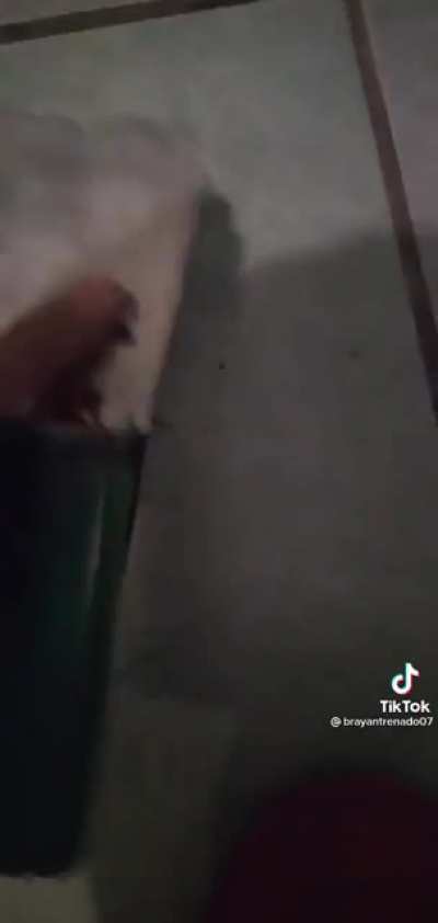 Creo que se enojo un poquito