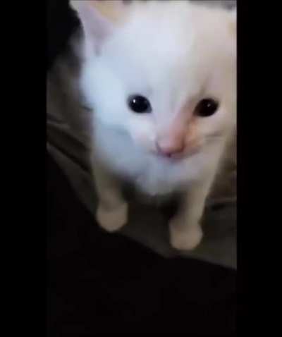 Hi Herbert