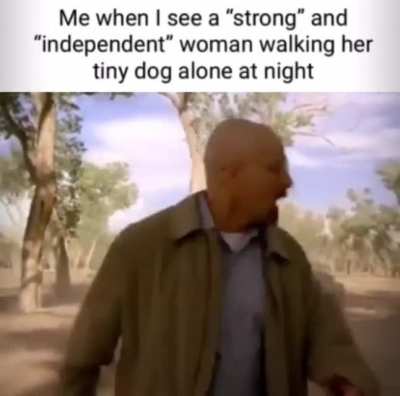 Absolute chad