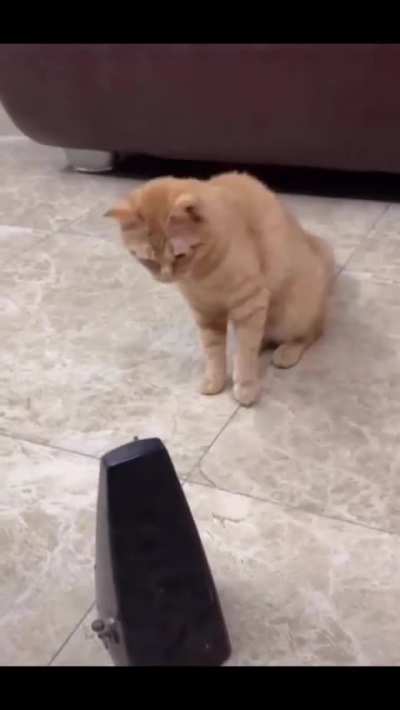 Maybe maybe maybe