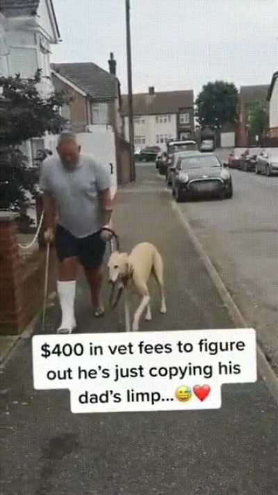 Dog copying his owner behaviour
