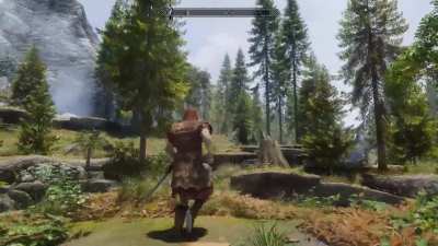 Please help me fix the problem with the trees.Skyrim SE.