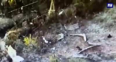 Part 2 of Russian recon behind enemy lines (September 2023)