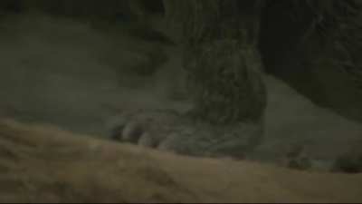 [Old thing I made] Godzilla’s on his way to steal your girl