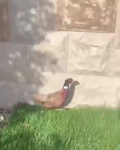 Sir please do you have a moment sir!