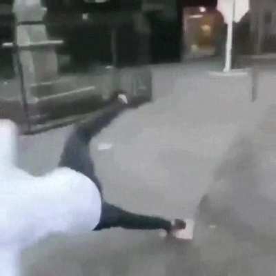 Pigeon leads man into TRAP