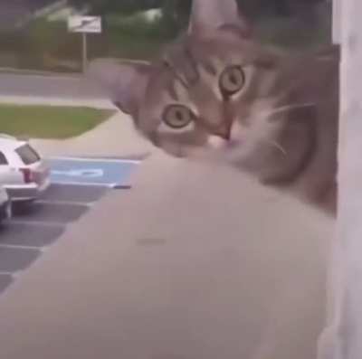 What are you doing bro?