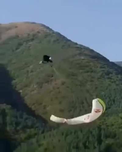 Zero Fucks