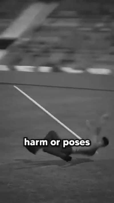 Javelin Throwing rules are wierd