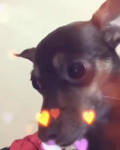 All he wanted was a kiss