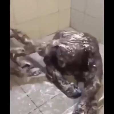 admin bañándose 😔👌