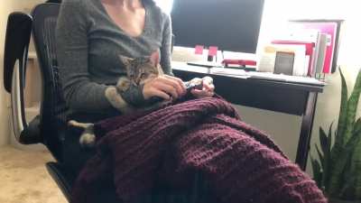 Beans is opposed to crocheting